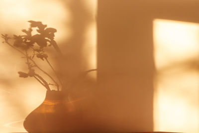 Close-up of flower vase on table