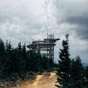 Dirt road along trees