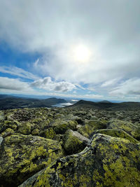 Scenic view of landscape against sky