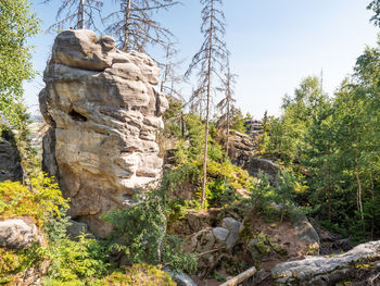 Low angle view of rock formations