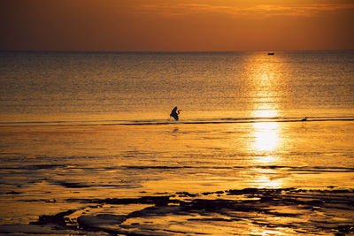 A stork was flying down the sea in the evening.