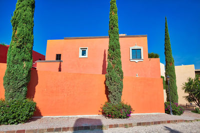 Plants growing outside building against clear blue sky