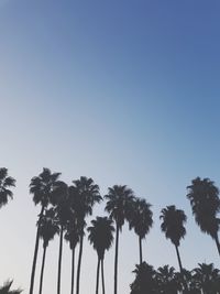 Low angle view of coconut palm trees against clear sky