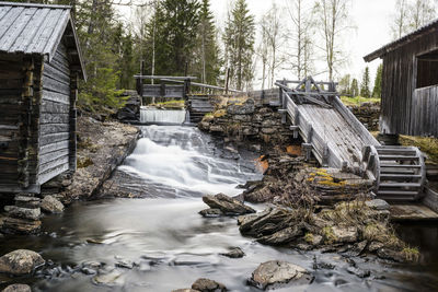 Scenic view of river flowing through trees