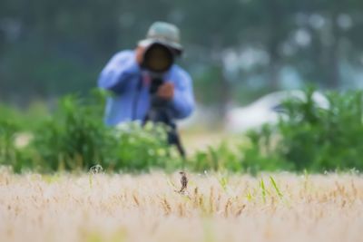 Man taking picture of sparrow in field