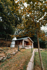 House by trees in forest during autumn