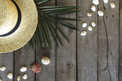 High angle view of shells on wooden table