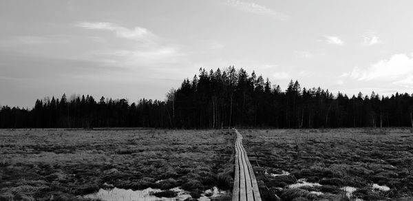 Panoramic shot of trees on field against sky