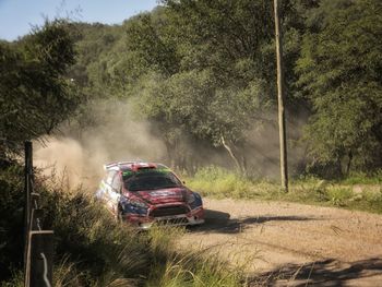 Car on road amidst trees on field