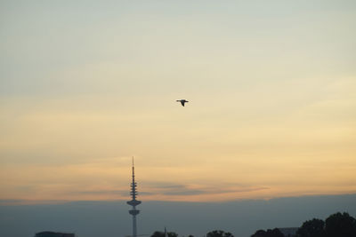 Silhouette birds flying in sky