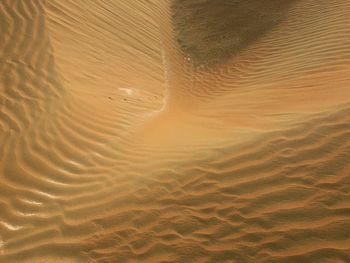 Full frame shot of sand dunes at beach