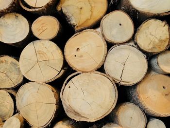 Full frame shot of logs in forest