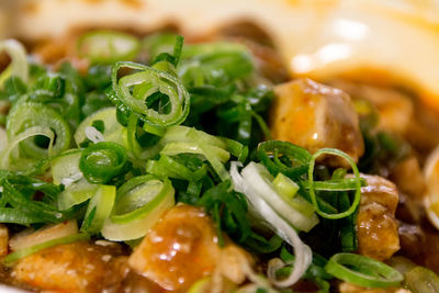 Close-up of food served in plate