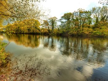 Scenic view of lake in forest against sky