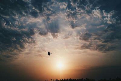 Low angle view of silhouette bird flying against sky