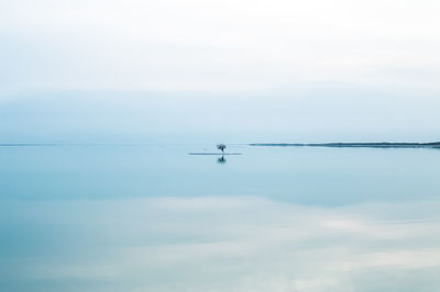 Airplane flying over sea against sky