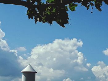 Low angle view of tree against sky