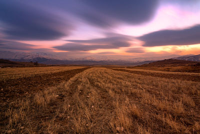 Scenic view of field against sky during sunset
