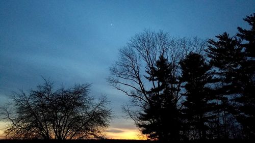 Silhouette trees against sky at night