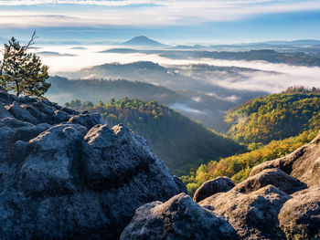 Morning landscape with fir forest and first mist.  aerial view, misty autumn season in valley