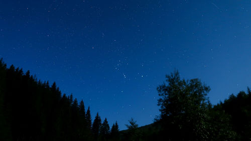 Night sky with stars and silhouette backlit trees and forest