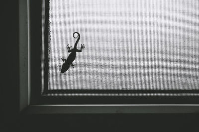 Low angle view of silhouette glass window