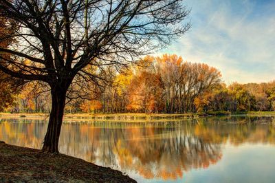 Reflection of trees in lake against sky during autumn