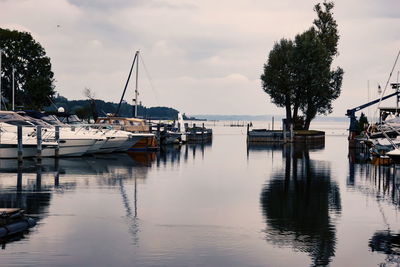 Sailboats moored at harbor