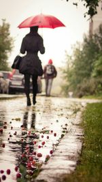 Person walking on footpath