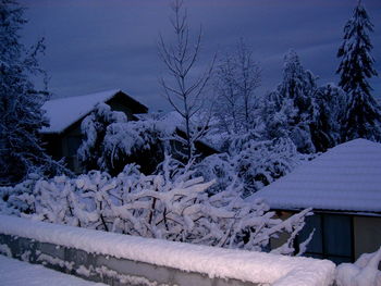 Snow covered trees against sky