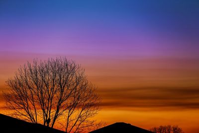 Silhouette bare tree against orange sky