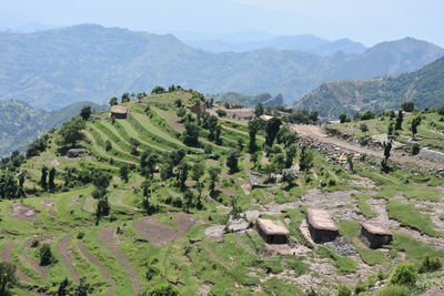 Scenic view of agricultural field against mountains