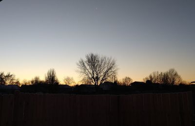 Silhouette bare trees on field against clear sky