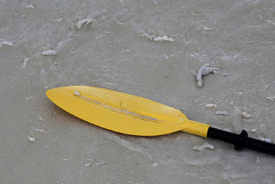 High angle view of yellow leaf on beach