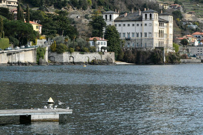 Gallio palace and some gulls in gravedona, como, lombardy, italy.