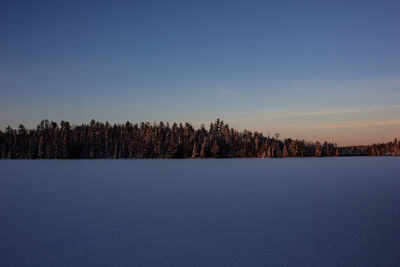Scenic view of forest against sky during winter