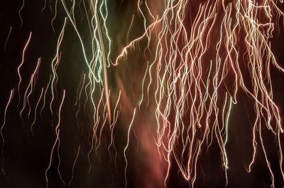 Low angle view of fireworks against sky at night