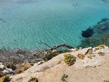 High angle view of rocks on beach