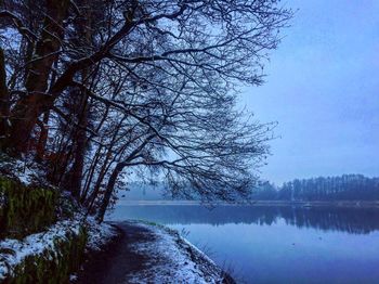 Bare tree by lake against sky during winter