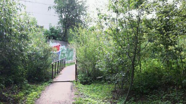 tree, growth, the way forward, green color, plant, connection, forest, built structure, nature, bridge - man made structure, grass, railing, day, footpath, tranquility, architecture, transportation, green, lush foliage, outdoors