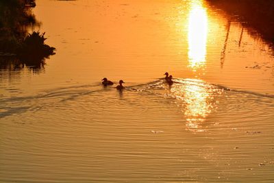 Silhouette people in lake against sky during sunset