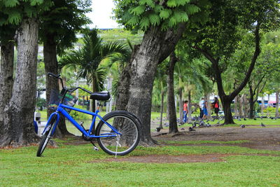Bicycle parked in park