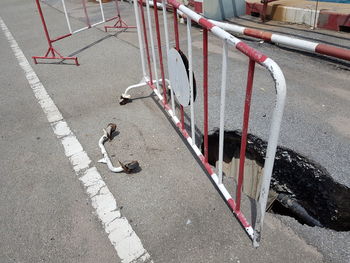 High angle view of pigeons on road