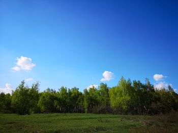 Scenic view of trees on field against blue sky