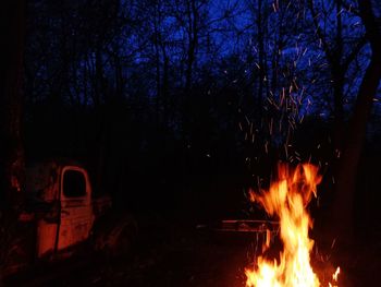 Bonfire in forest at night