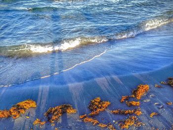 High angle view of shore during sunset at boca raton beach