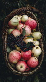 High angle view of apples in basket