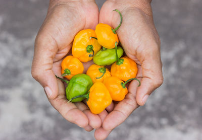 Cropped image of man holding bell peppers
