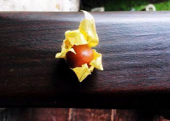 Close-up of yellow leaf on wood
