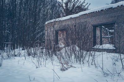 Bare tree by building during winter